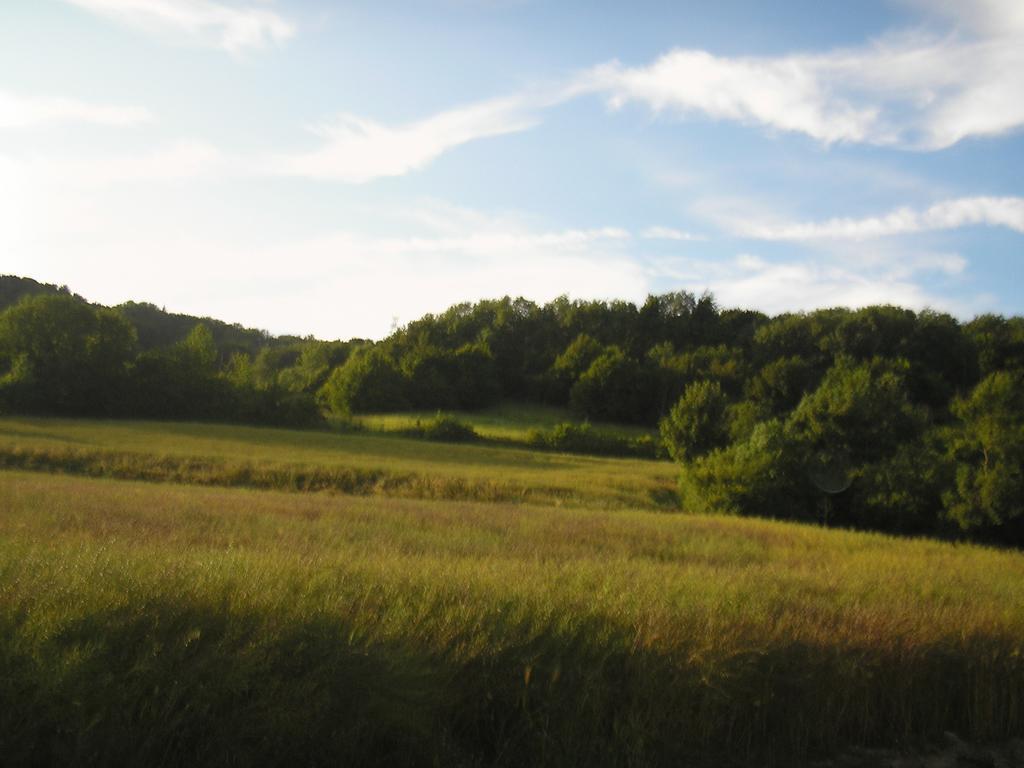 Gite la Solitude Licques Cameră foto