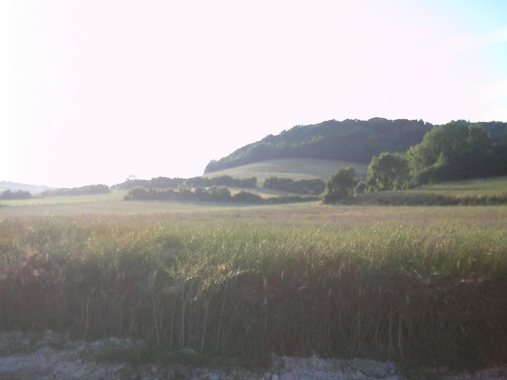 Gite la Solitude Licques Cameră foto